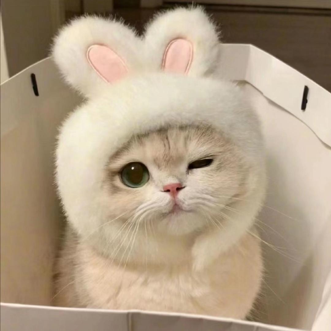 美芽小宝的欧妈