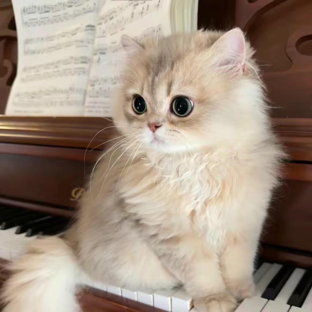 微波炉加热冰淇淋🧸