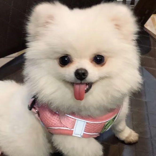 kiki