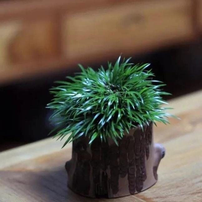 紫陌