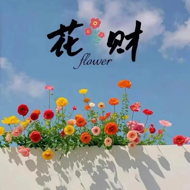 花姐视频