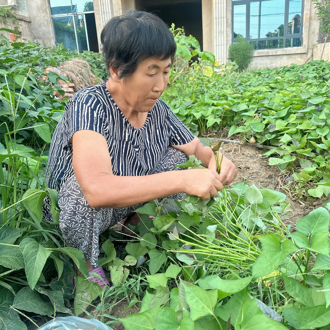 芊和呀