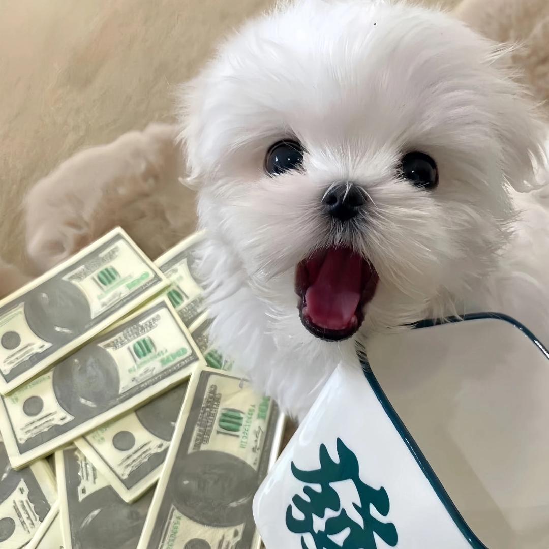 泡芙。