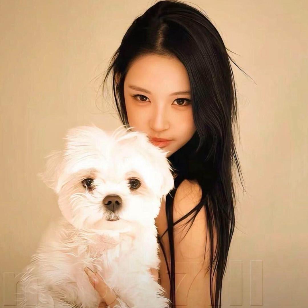 樱桃小丸子ᵕ̈