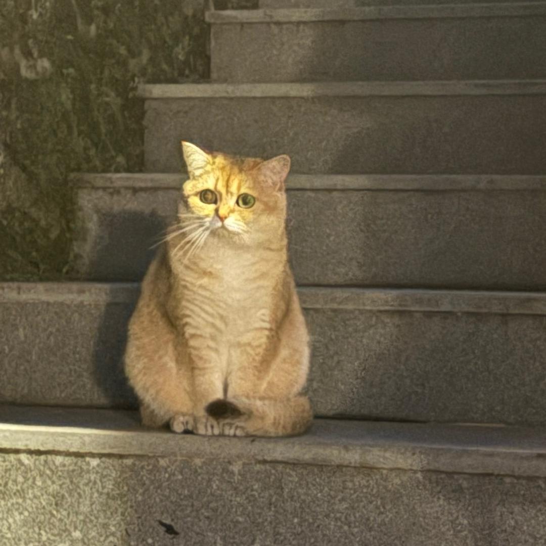 爱自己