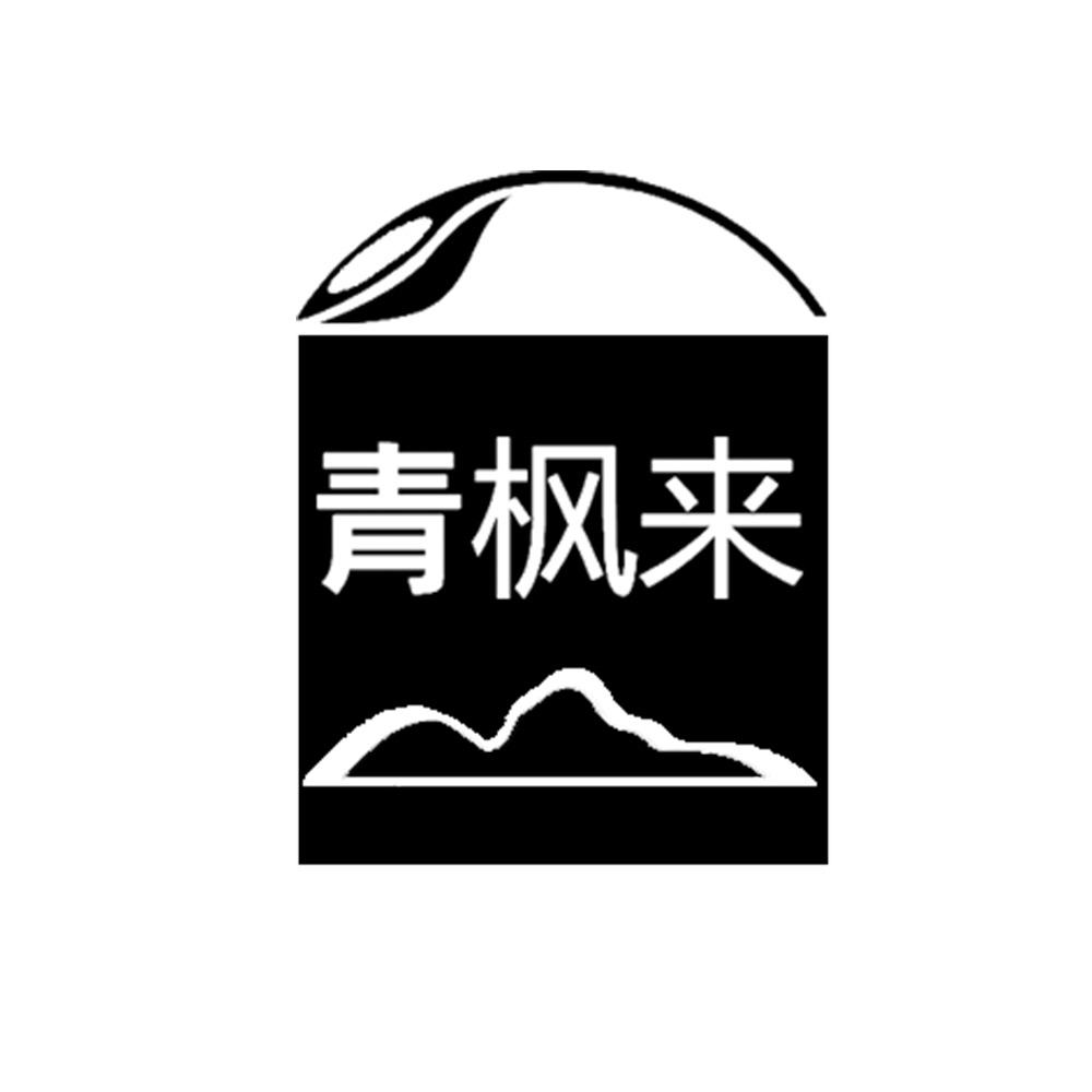 青枫来水族世界