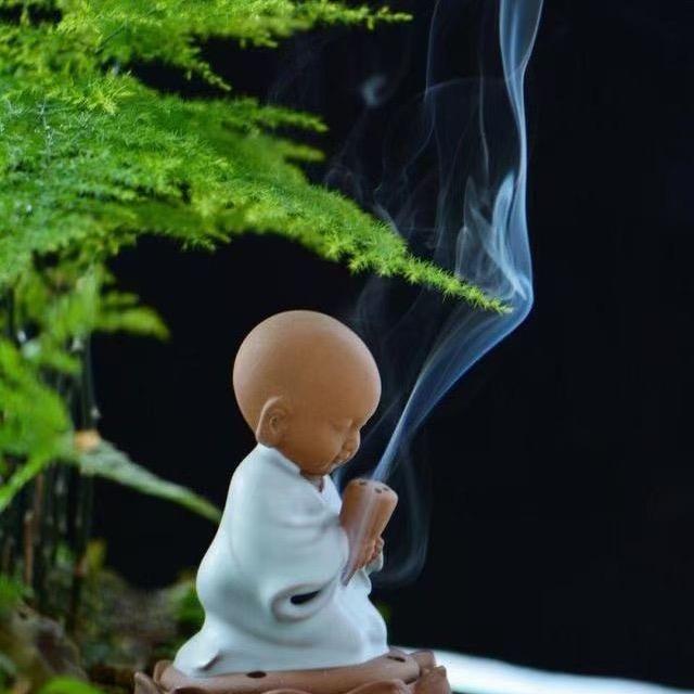 🐝足音～王聚华🐝