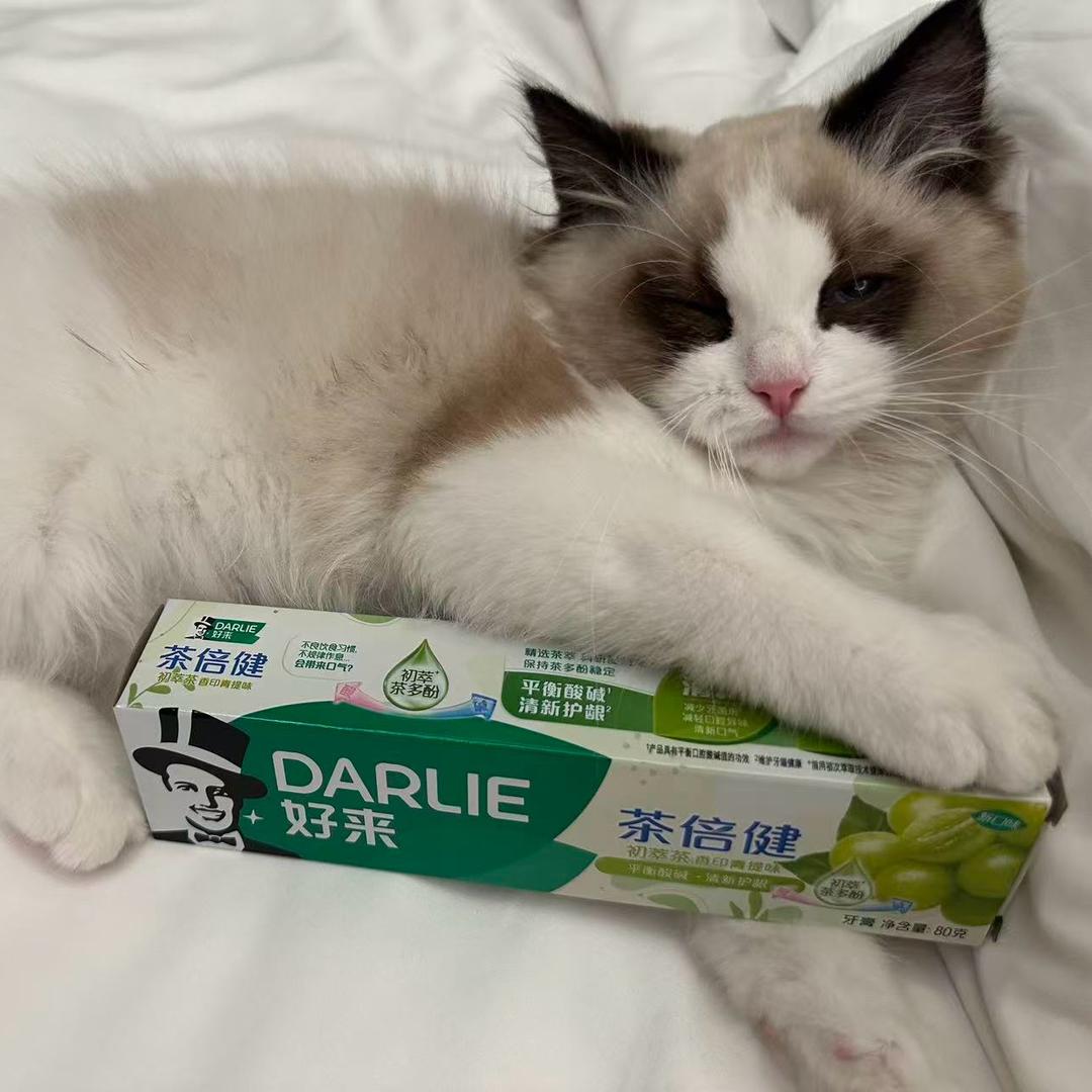 DARLIE好来口腔护理