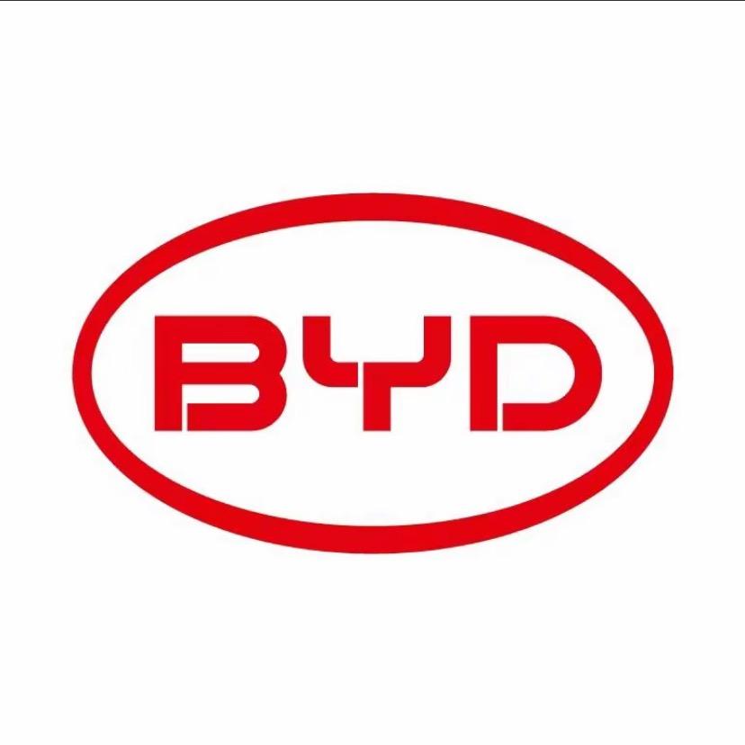 比亚迪迪了个迪ＢＹＤ