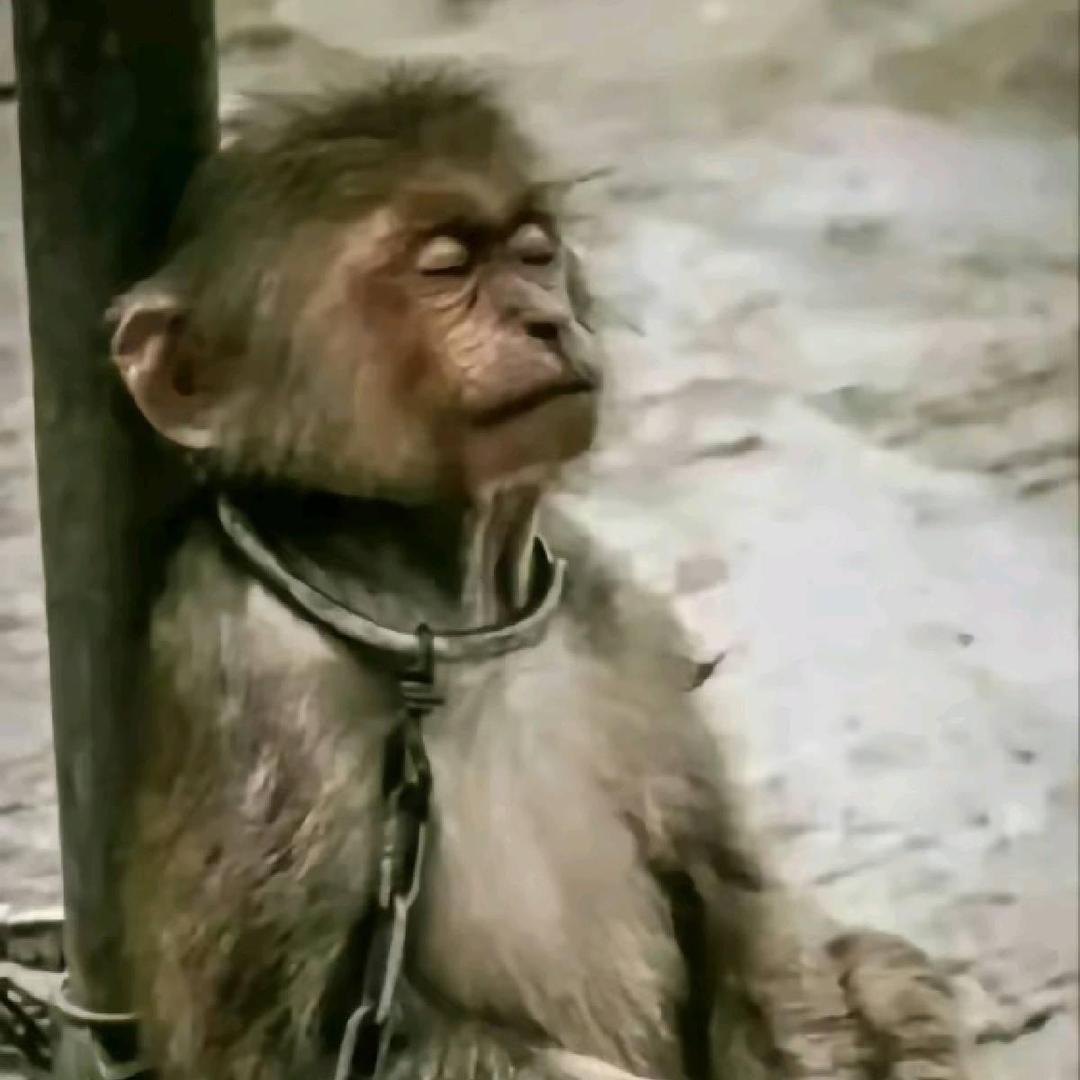 上海树乐实业有限公司