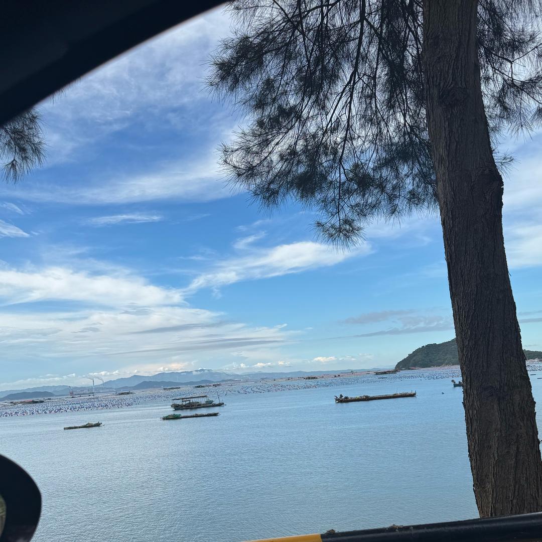 与抖携行甄选