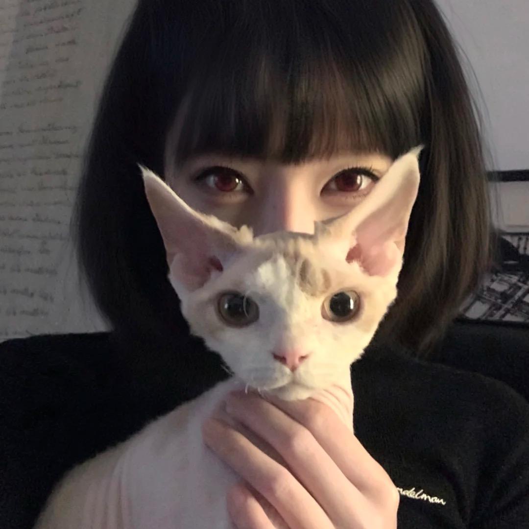 @慧冷