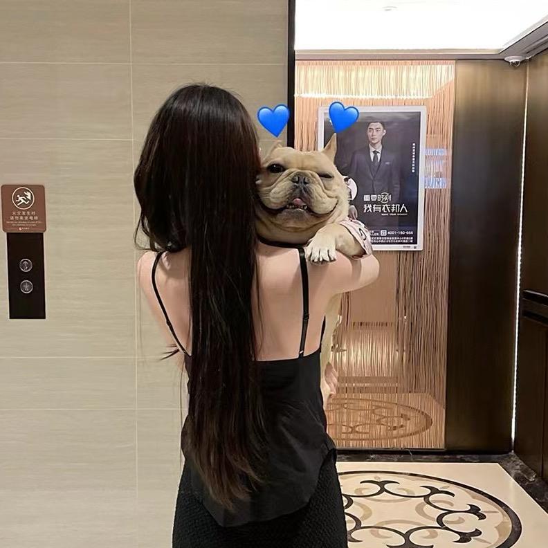 小羊CoCo