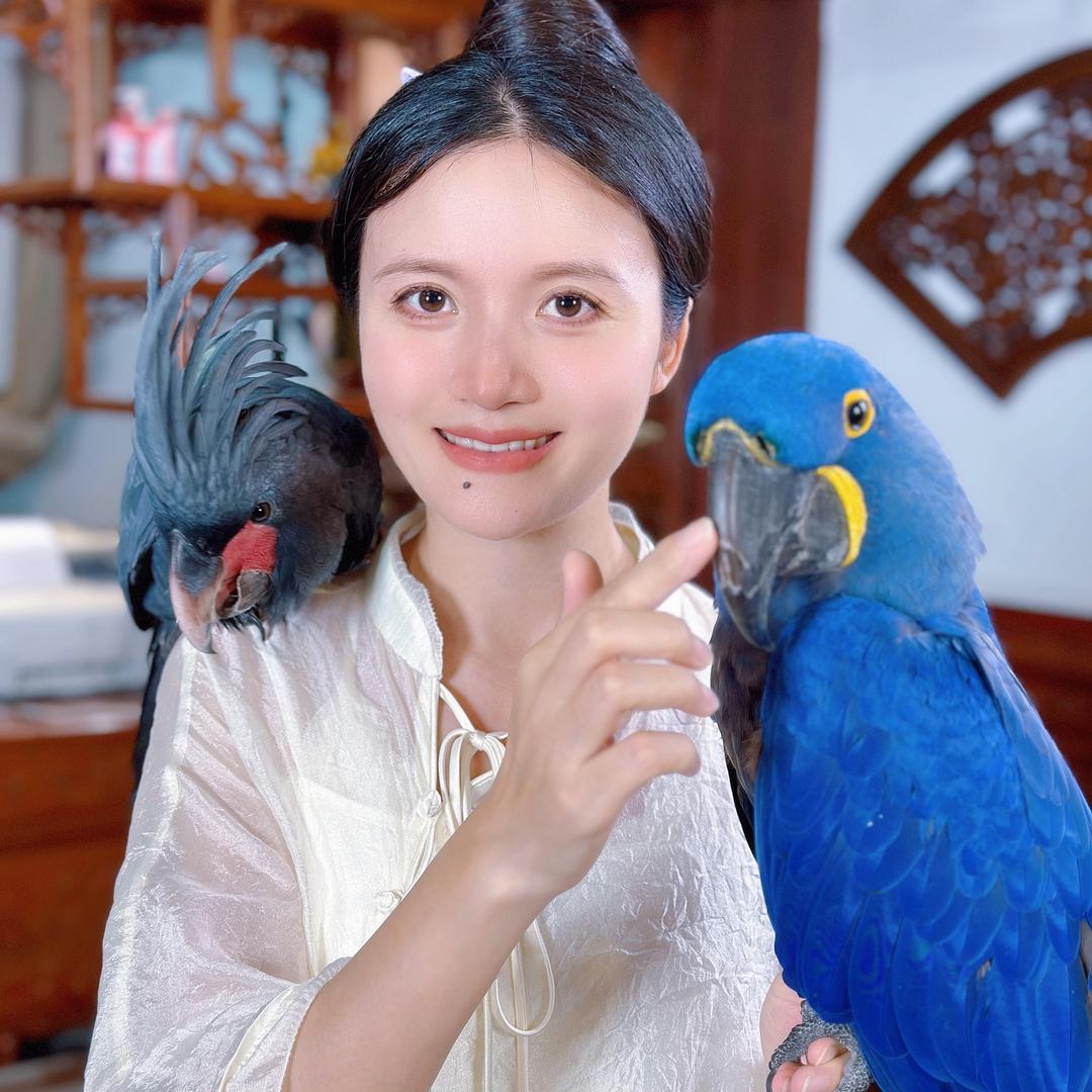 紫蓝鹦鹉皇后