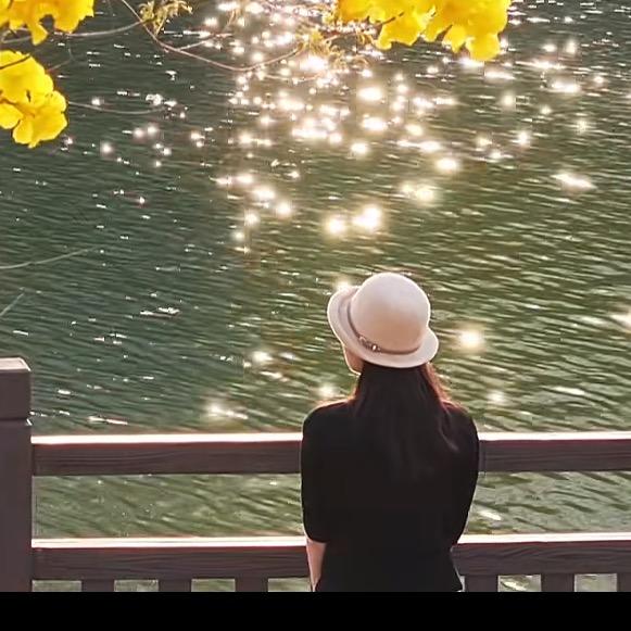 叶子
