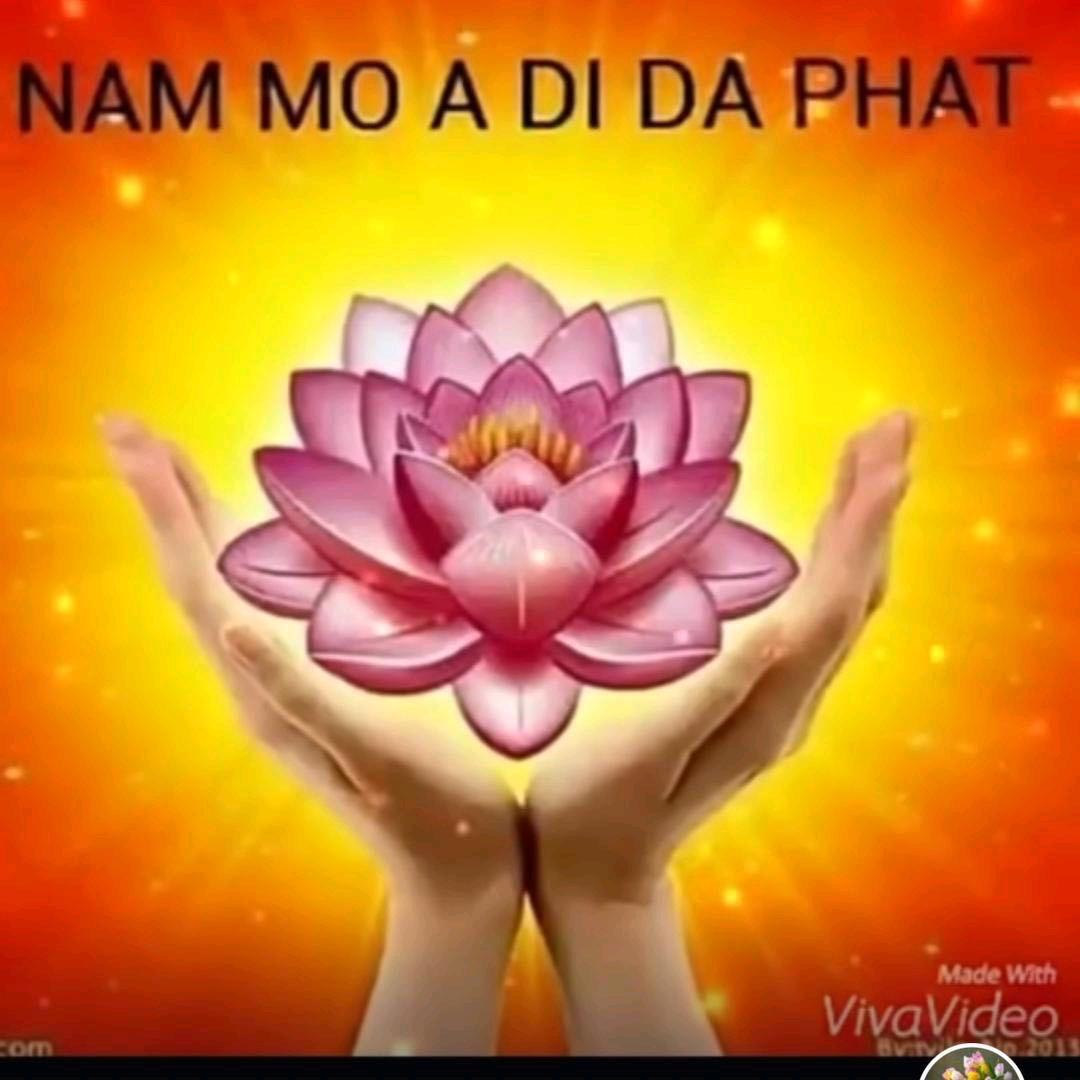 🌺善缘🌺玲姐2️⃣