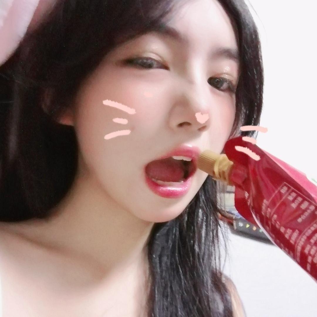 不吃饭的猫