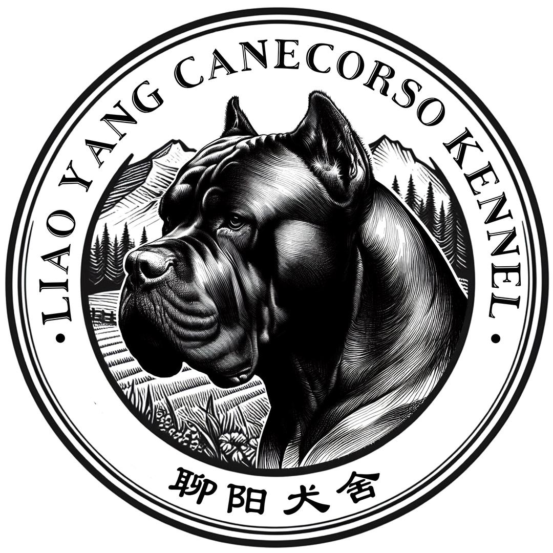 聊阳犬舍
