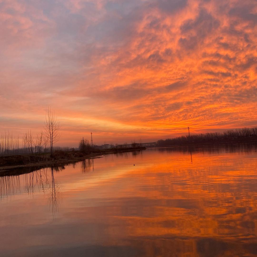 天使的羽毛®️