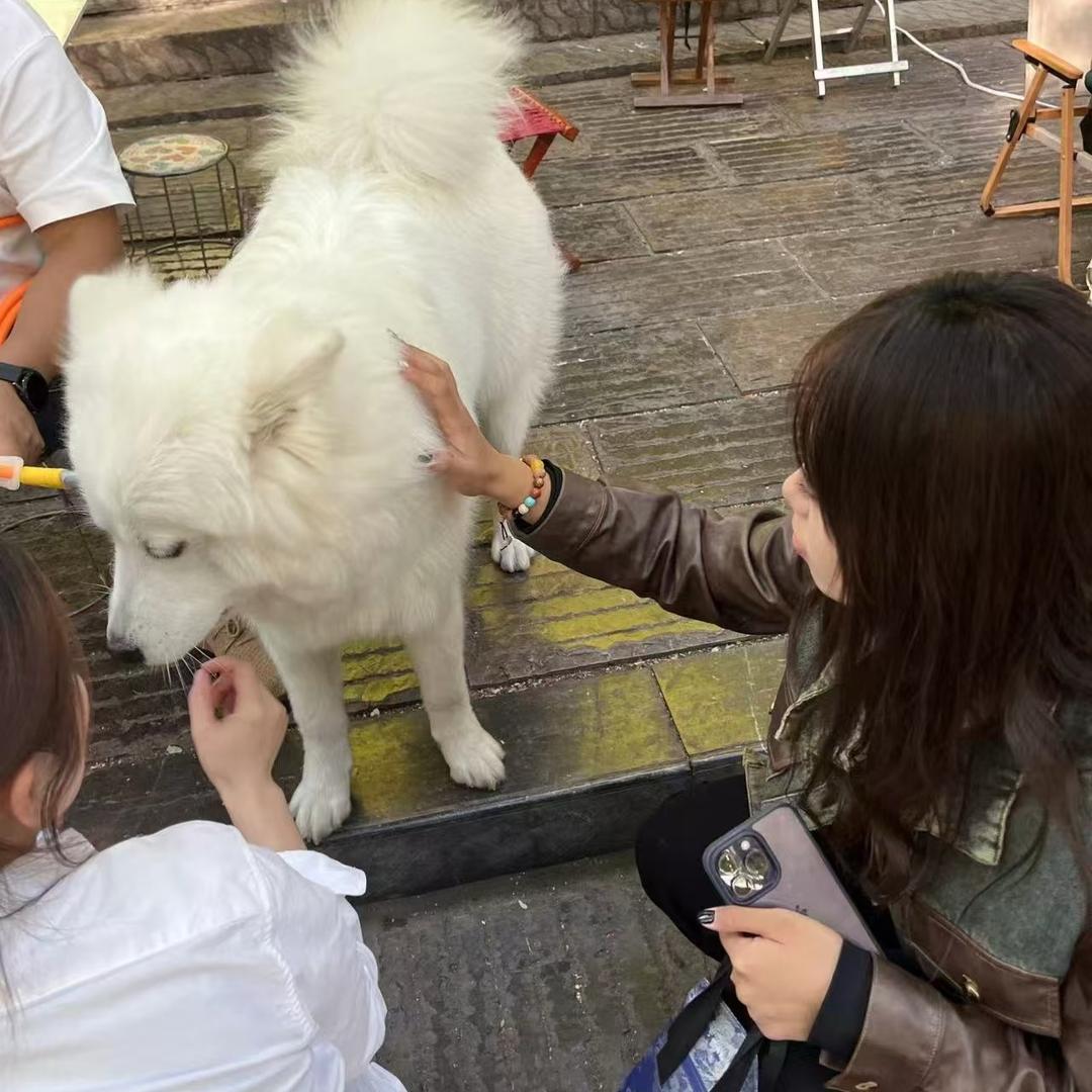 溪狗蛋儿