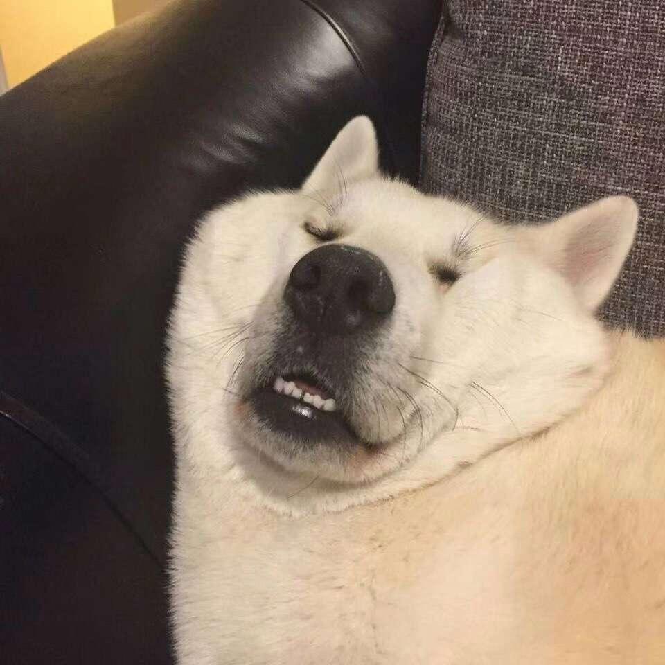 汤姆（三角洲行动）