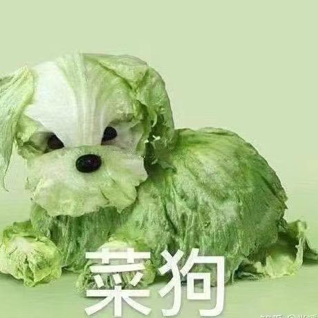 我的肖宝