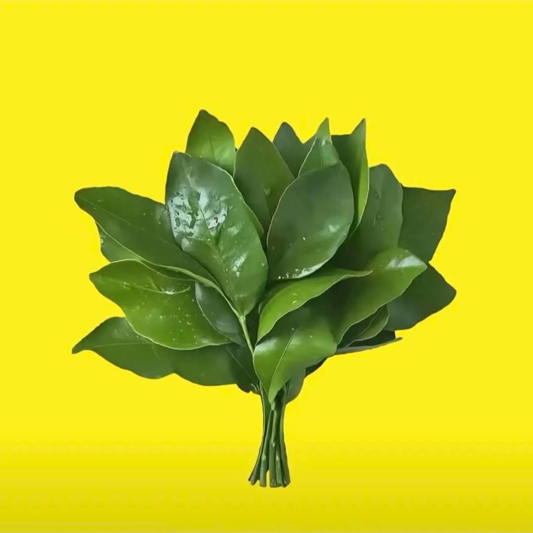 小粥妹儿