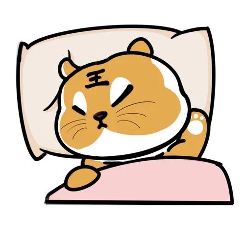 暴躁小虎