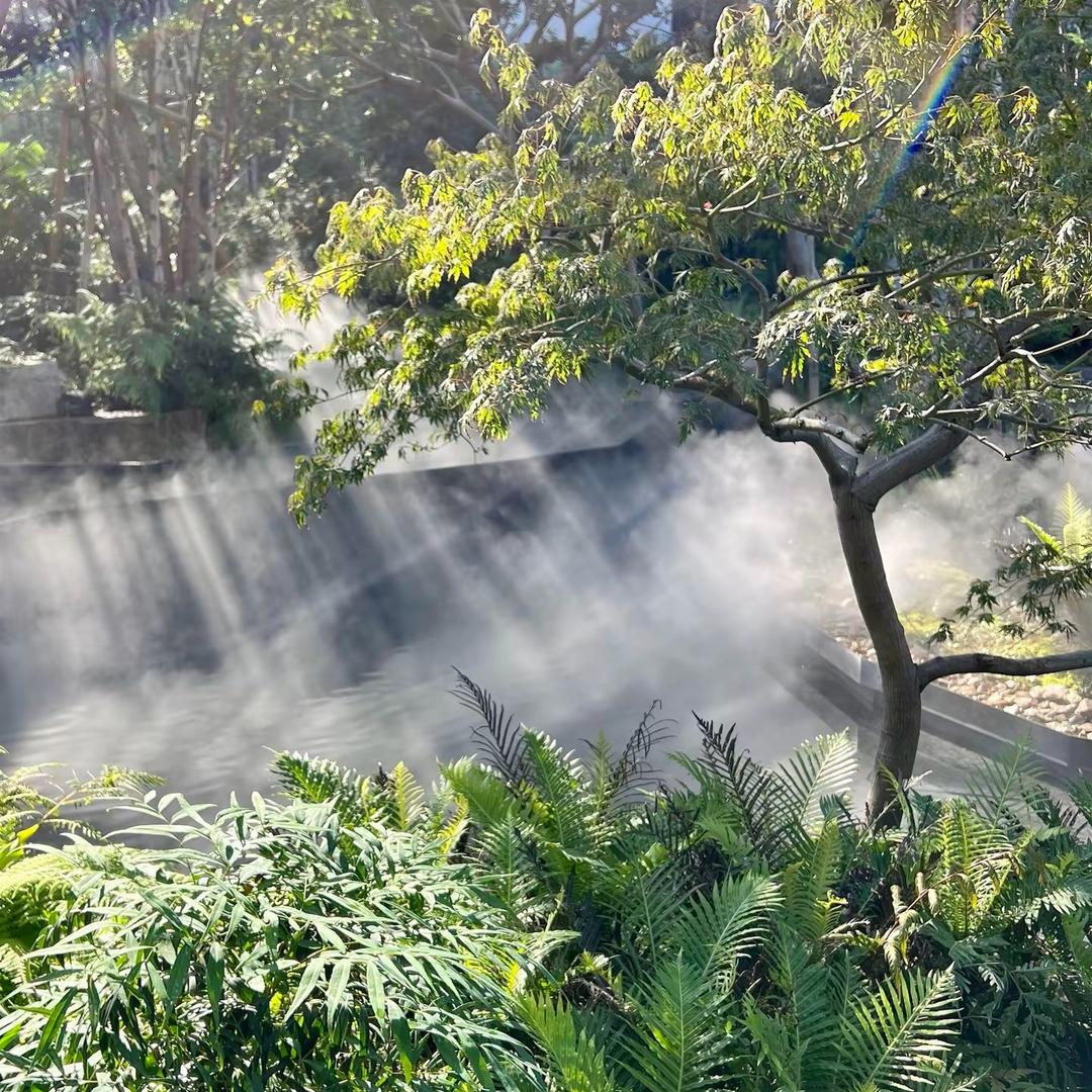 小火柴