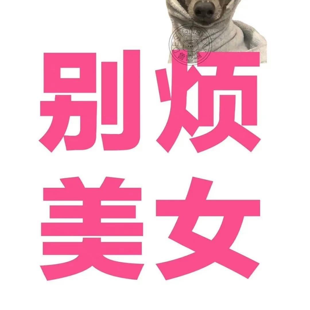 张张包