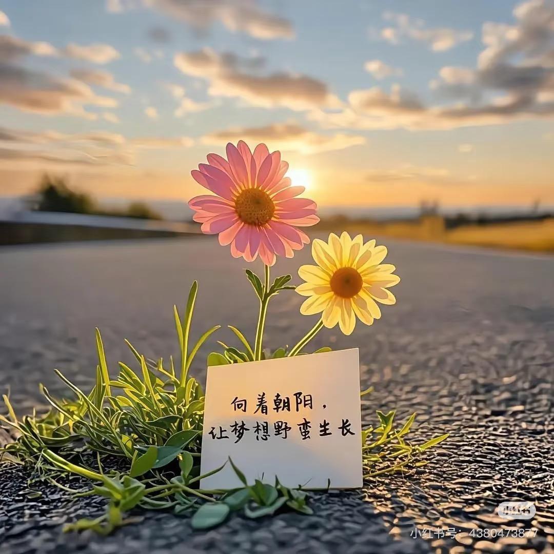 🌸——🍀——🍀——🌸——