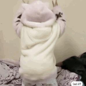 130317061028