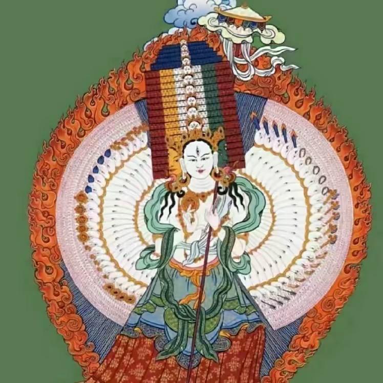 罗🐉 嘎