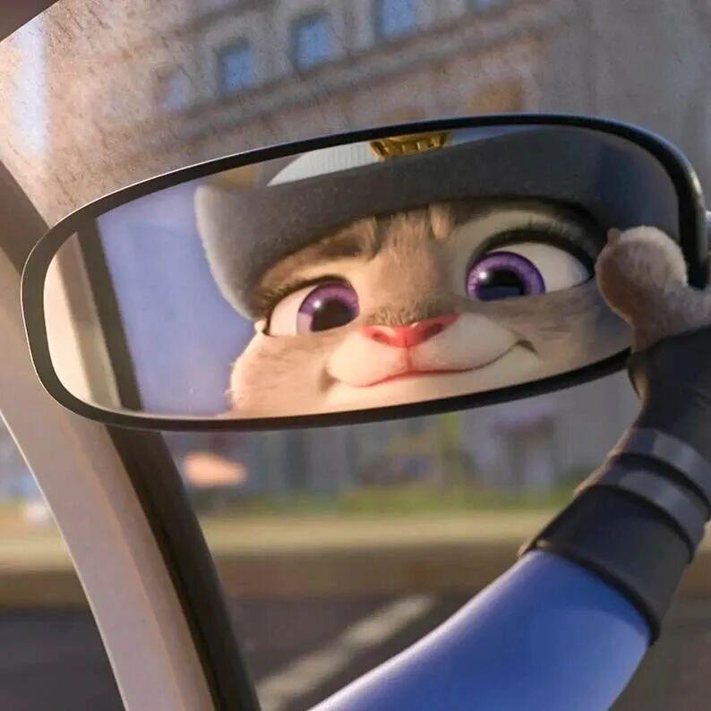 高冷的冰糖葫芦