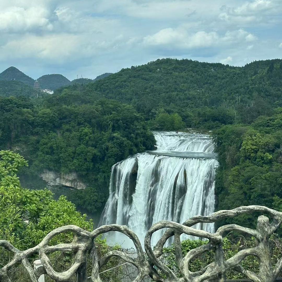 王哥说上岸☜