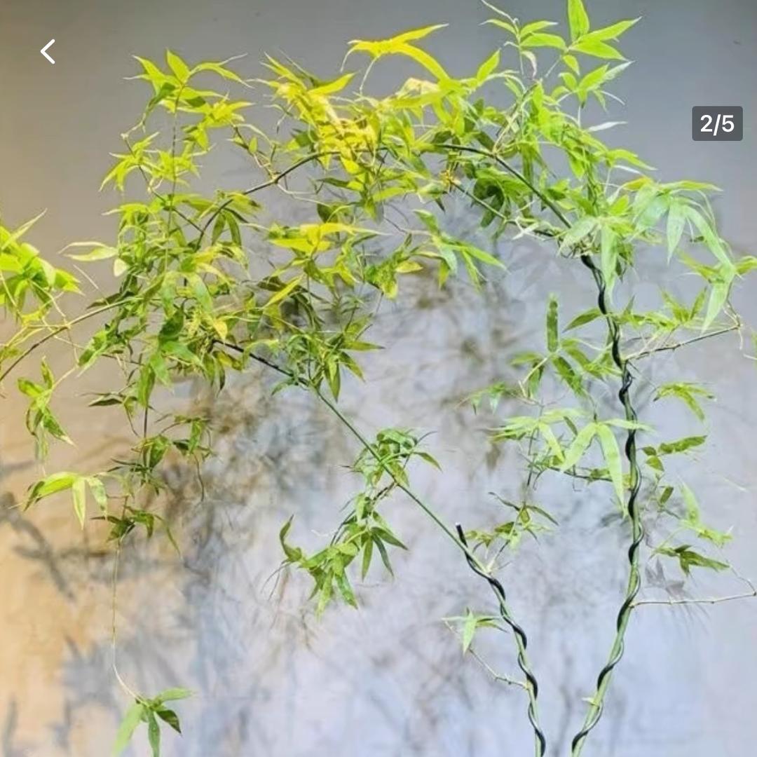 青岛宝布伦软装