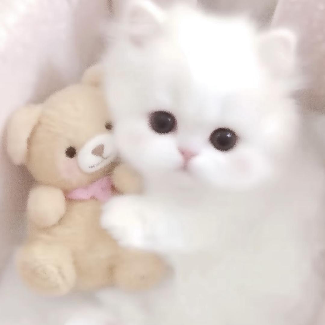 我只是熏到眼睛了