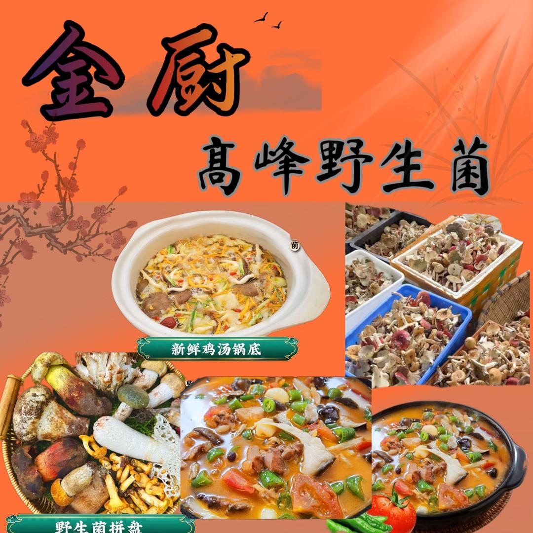 金厨高峰野生菌松哥（娱乐版）