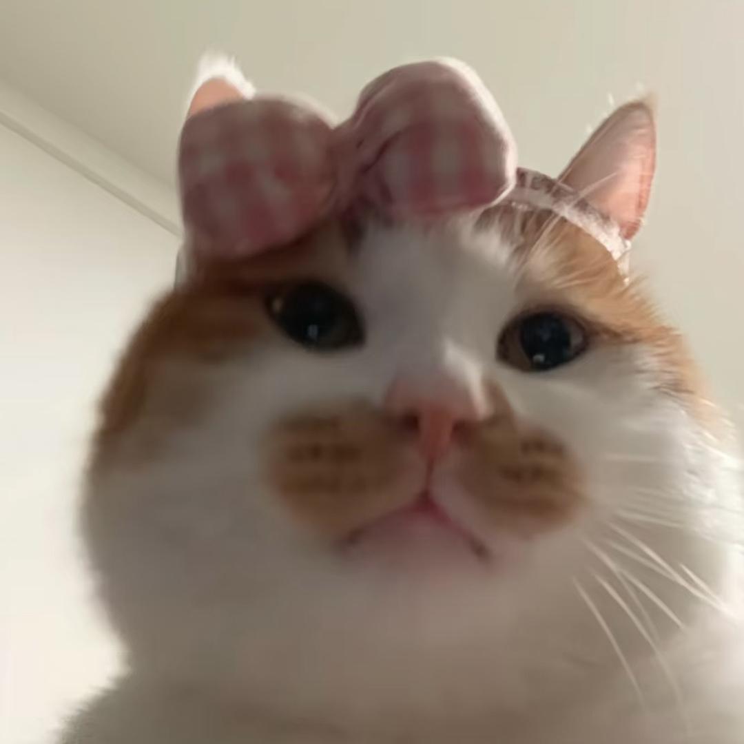 早点水饺-u-（见过庄老弟版）