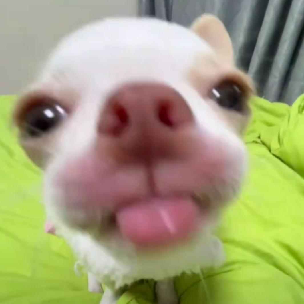 德朗