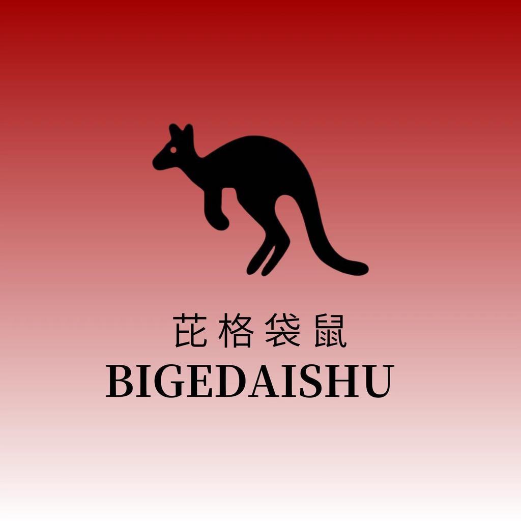 BIGEDAISHU双肩包
