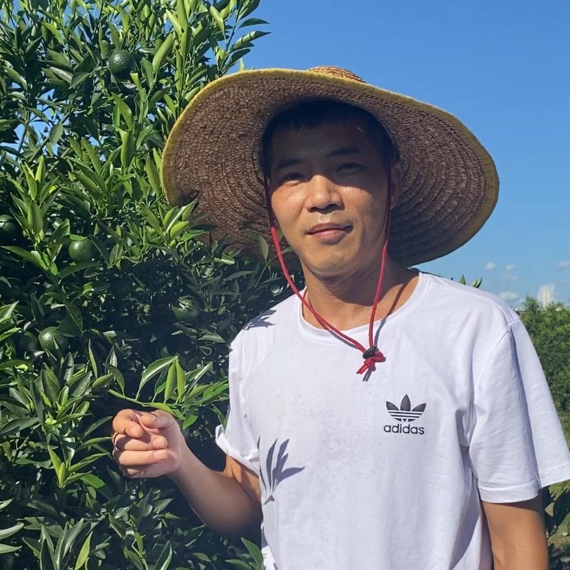 牛粪冬施