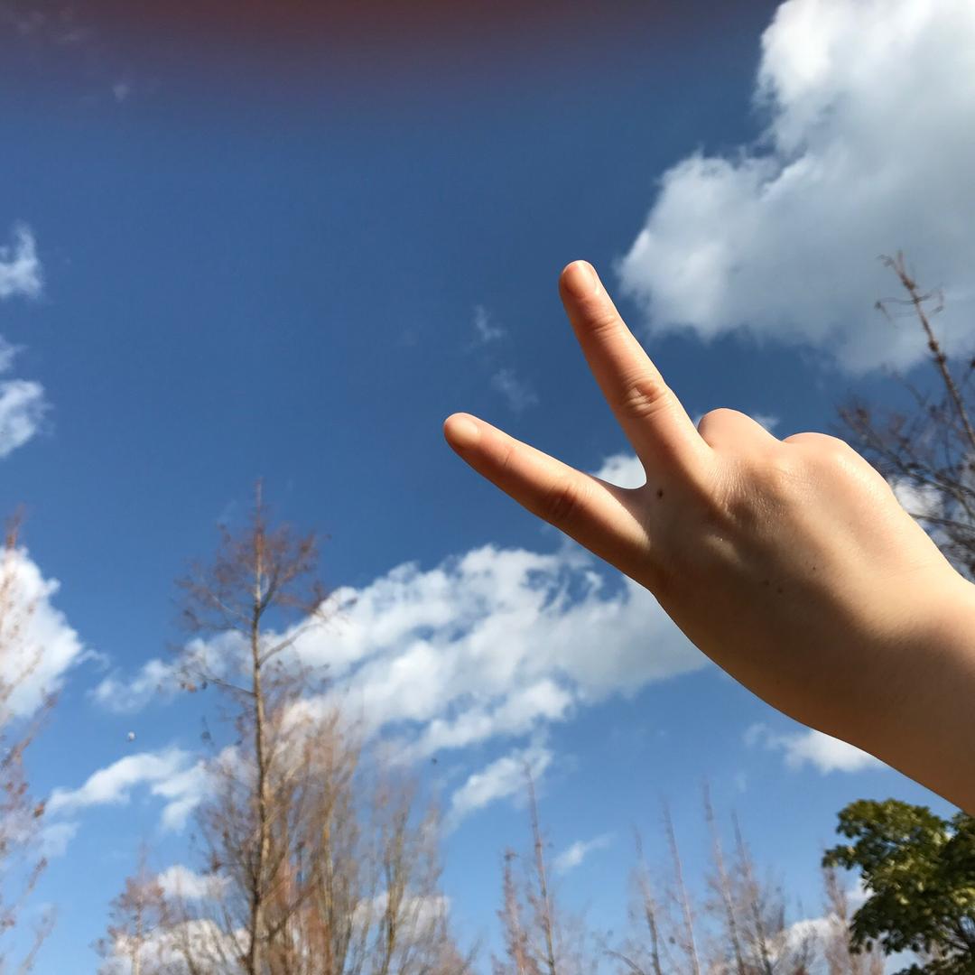 启为去南方