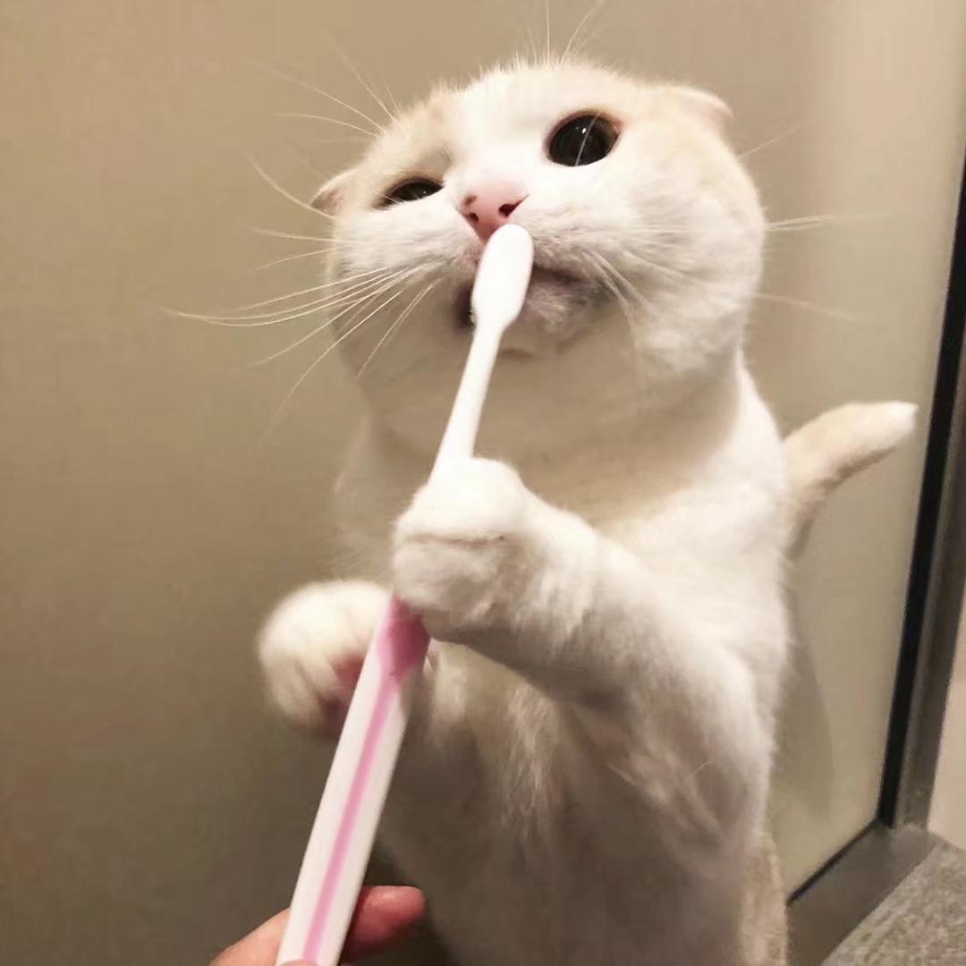 DY