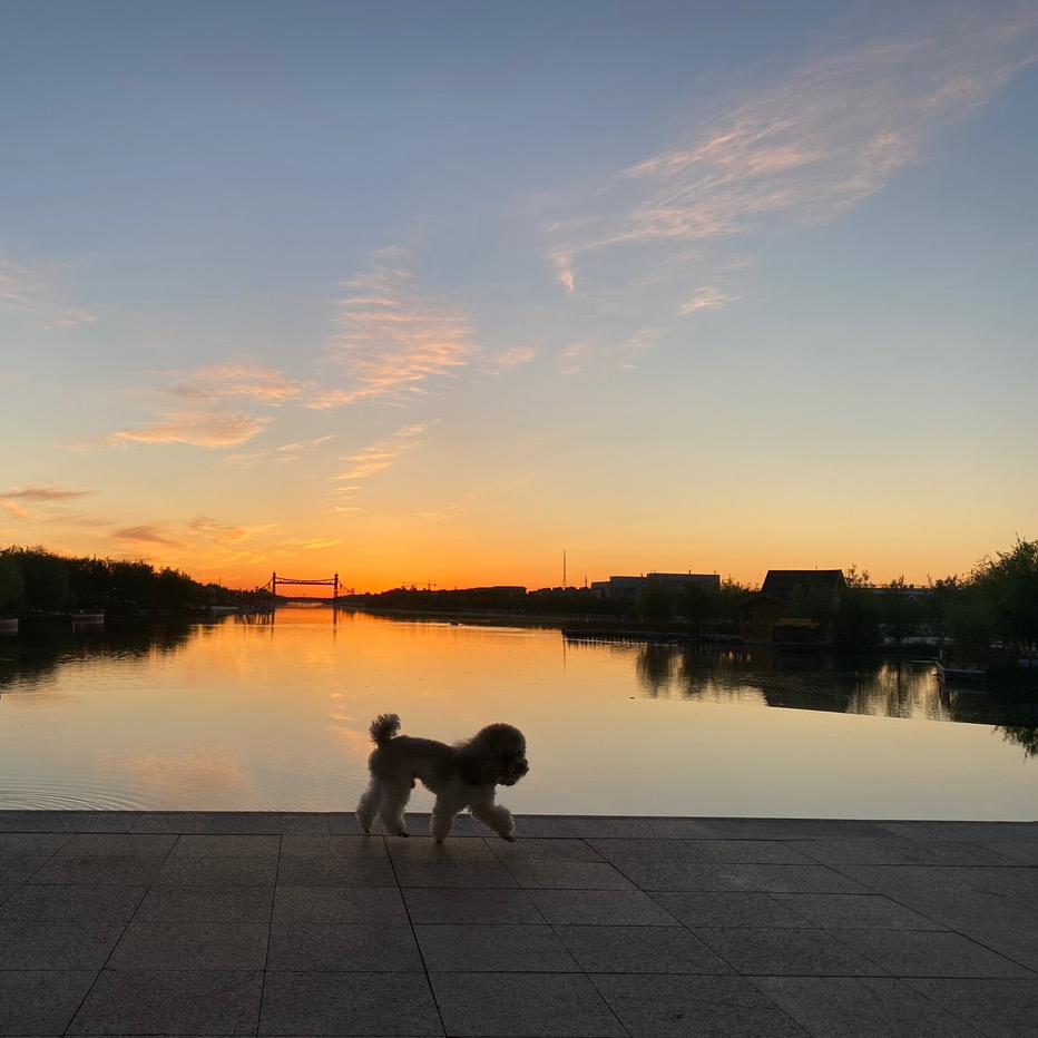 百汇城小胖（每日一果）