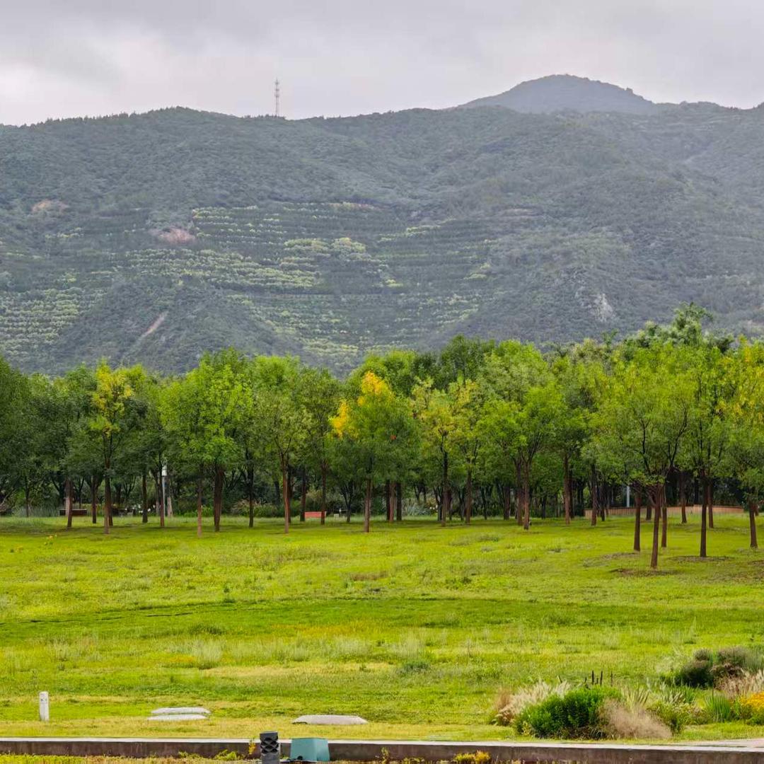 李禹卓实名上网