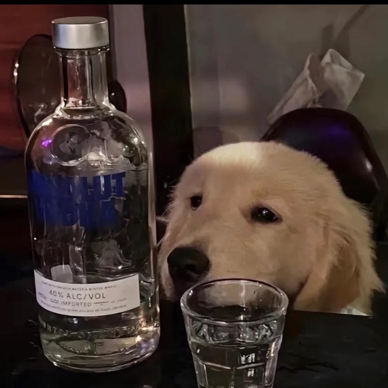 曦仔(三角洲行动）