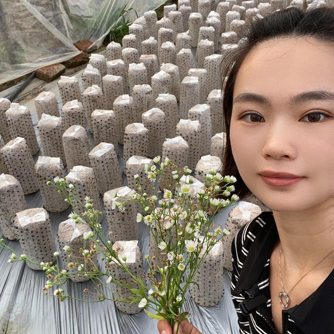 吉妹儿东北特产(2024年新木耳开售)