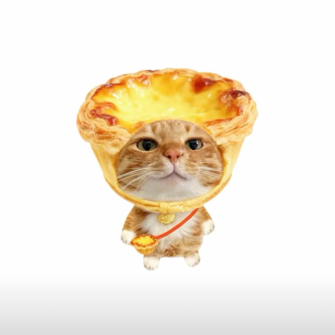 ^ Xnᴗn ^