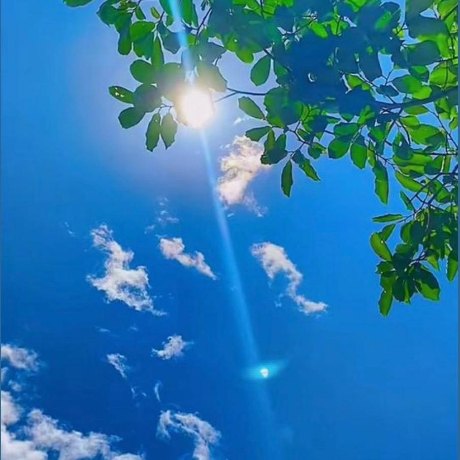 🚬᭄ཽ࿆谋财💰渡余生࿐